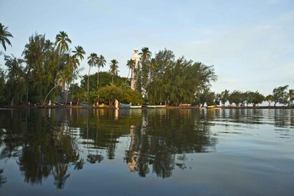 From Papeete: Tahiti Highlights Full-Day Private Tour