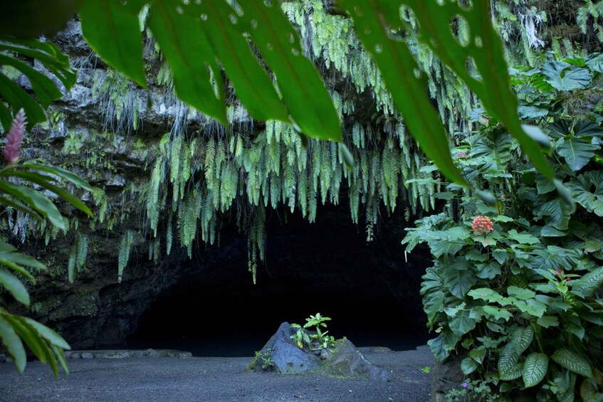 Picture 2 for Activity From Papeete: Tahiti Highlights Full-Day Private Tour