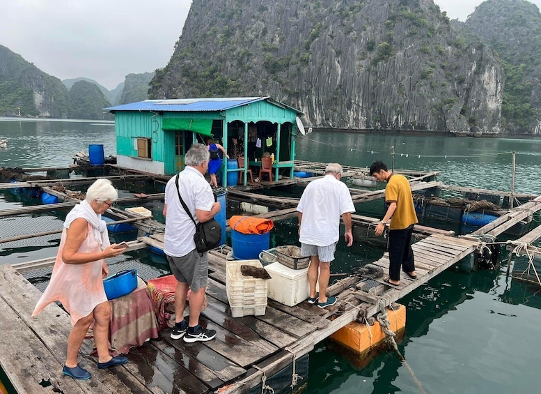 Picture 11 for Activity From Hanoi: Ha Long & Lan Ha Bay 2-Day Cruise with Meals