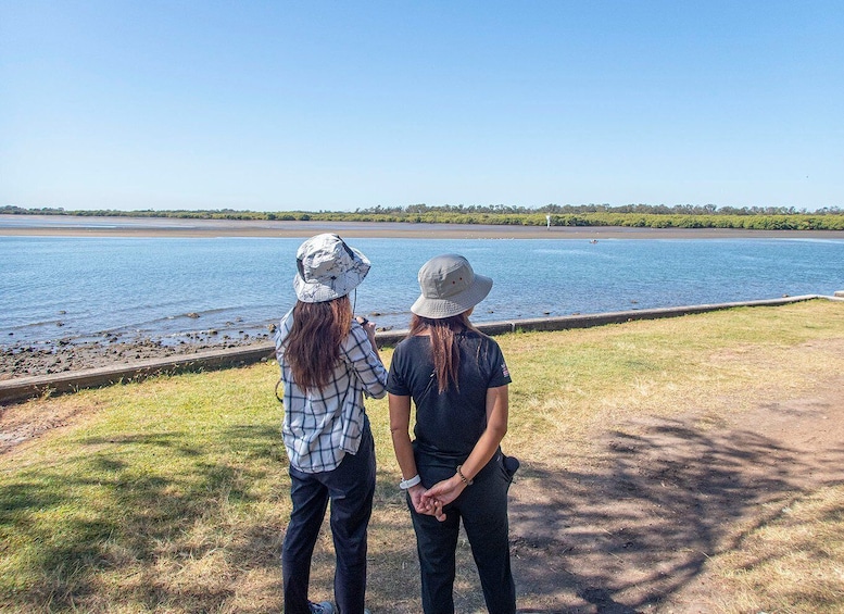 Picture 11 for Activity Brisbane: Kangaroos, Birds and Mangroves Coastal Tour