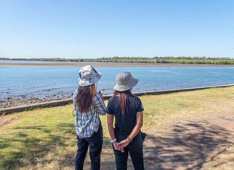 Picture 11 for Activity Brisbane: Kangaroos, Birds and Mangroves Coastal Tour