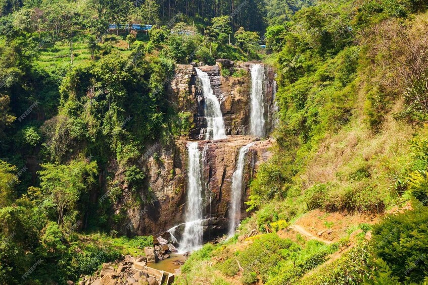 Picture 1 for Activity Nuwara Eliya: Sri Lanka hill country day trip from Kandy