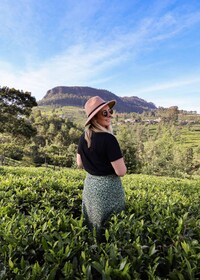 Nuwara Eliya: Sri Lanka hill country day trip from Kandy