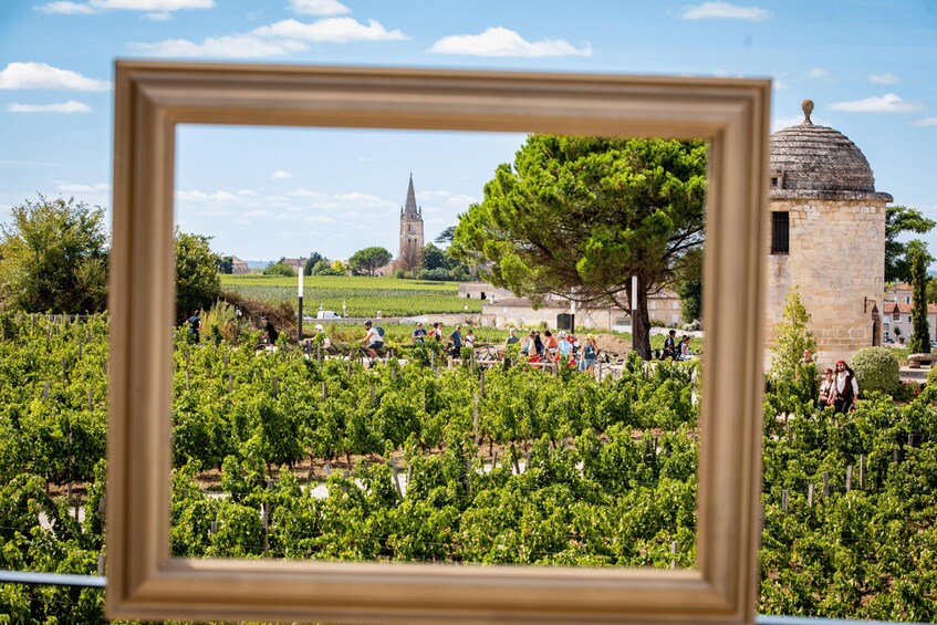 Picture 4 for Activity Château Balestard La Tonnelle : The "Origins" tour