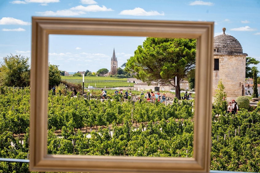 Picture 4 for Activity Château Balestard La Tonnelle : The "Origins" tour