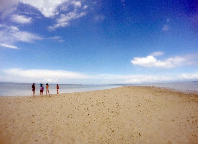 Picture 3 for Activity Bohol: Private Balicasag Tour with extra snorkeling time