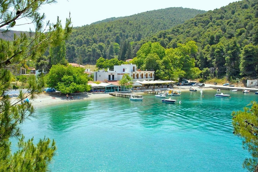 Picture 5 for Activity Skopelos: Mamma Mia Filming Locations Private Experience