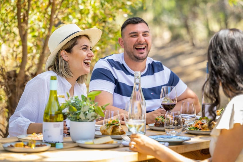 McLaren Vale: Biodynamic Wine Tasting and Degustation Lunch