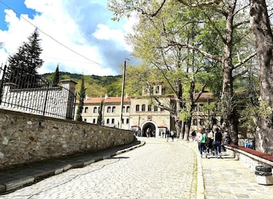 Plovdiv old town,Bachkovo,Small group day trip from Sf.