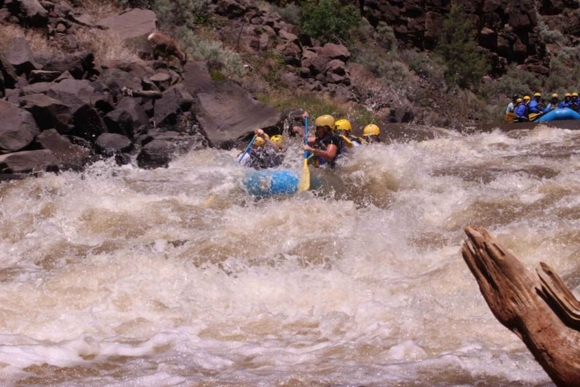 Picture 4 for Activity Taos/Santa Fe: Rio Grande Class IV "Taos Box" Rafting