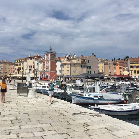 Picture 4 for Activity Vrsar: Lim Fjord - Rovinj Fish Picnic