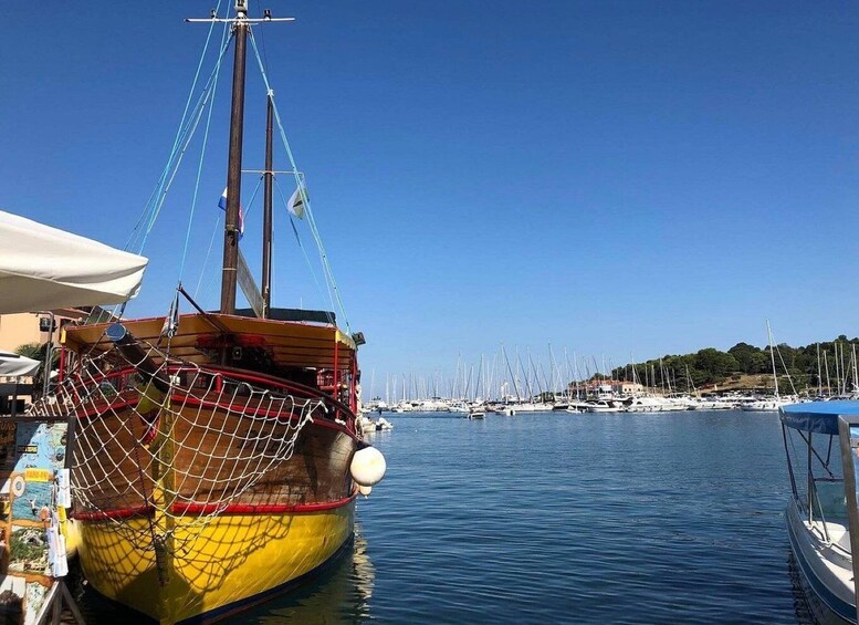 Picture 7 for Activity Vrsar: Lim Fjord - Rovinj Fish Picnic