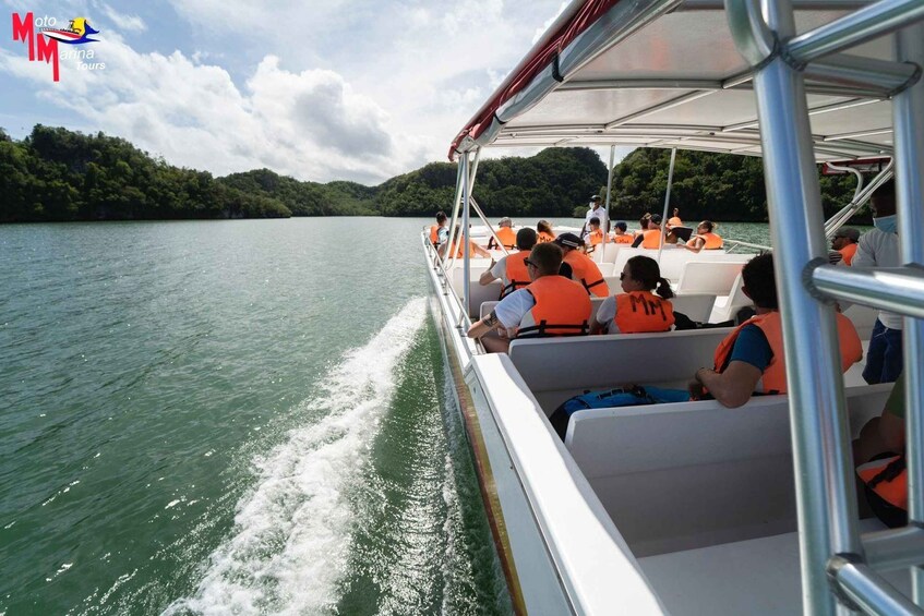 Picture 11 for Activity Los Haitises National Park: Boat and Walking Tour with Lunch