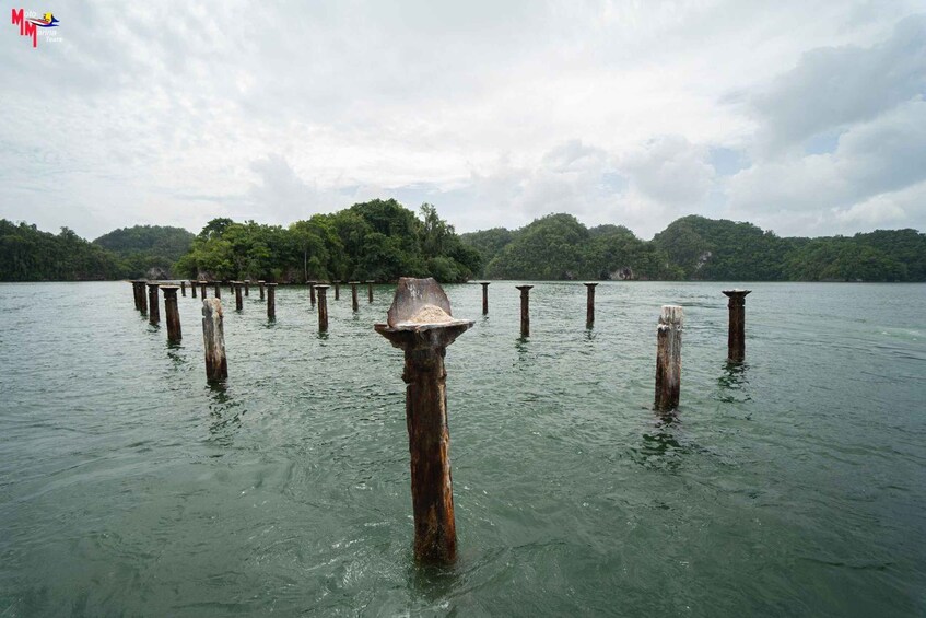 Picture 6 for Activity Los Haitises National Park: Boat and Walking Tour with Lunch