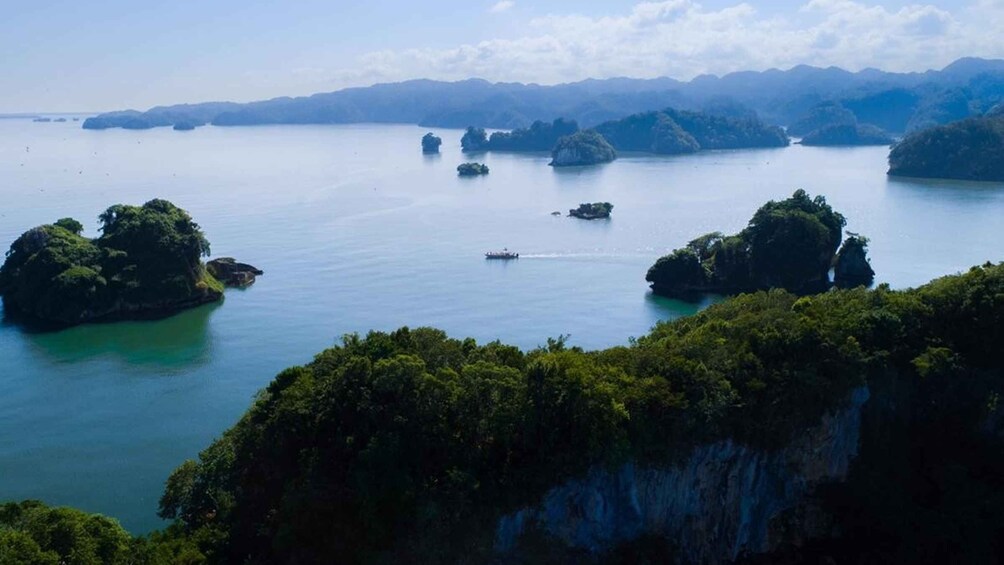 Picture 7 for Activity Los Haitises National Park: Boat and Walking Tour with Lunch