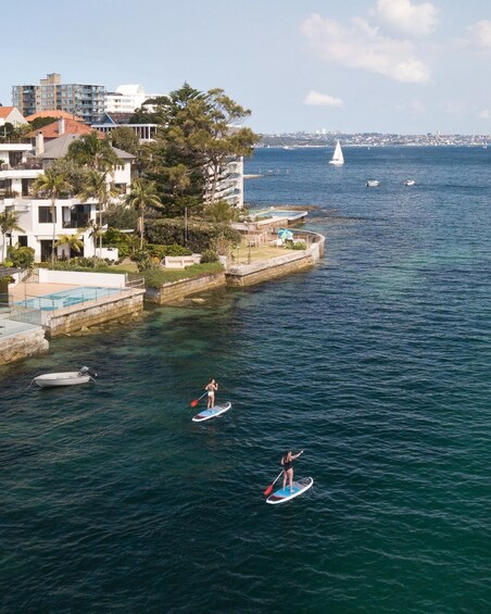 Manly Stand Up Paddle Board Hire