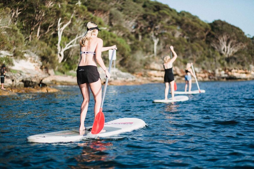 Picture 1 for Activity Manly Stand Up Paddle Board Hire