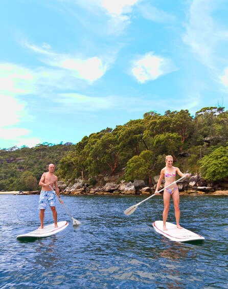 Picture 2 for Activity Manly Stand Up Paddle Board Hire