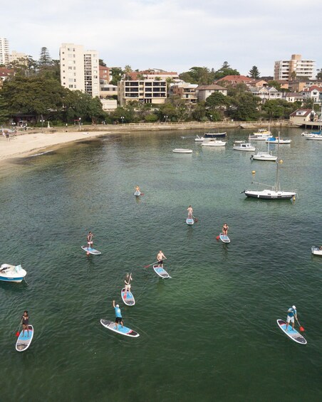 Picture 6 for Activity Manly Stand Up Paddle Board Hire