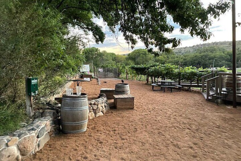All inclusive Sedona Join in Wine Tour