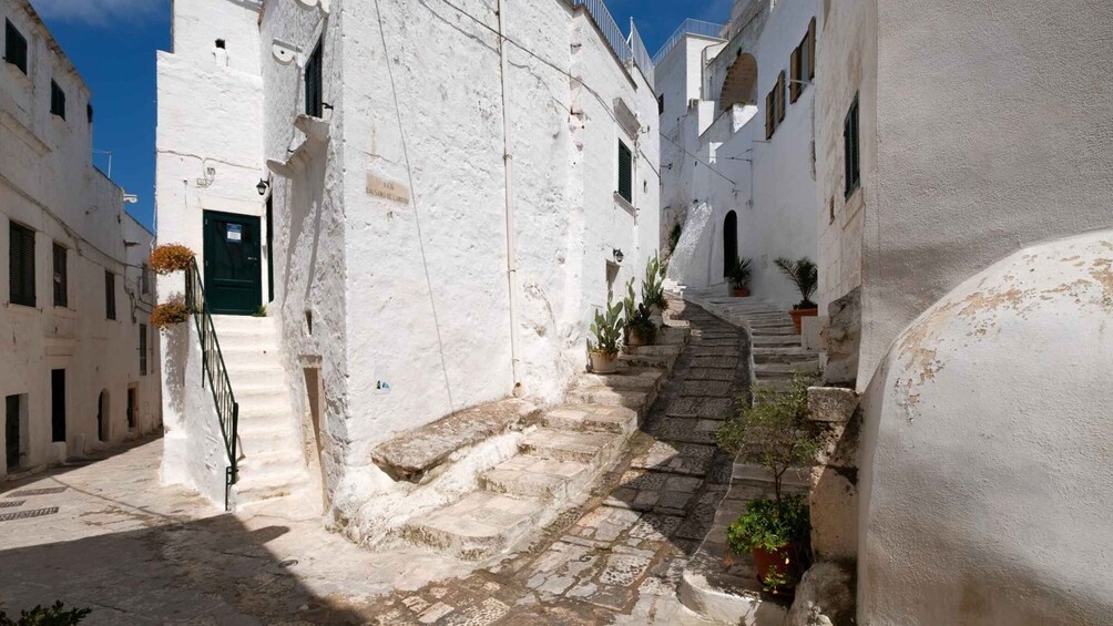 Picture 13 for Activity Brindisi: Alberobello, Locorotondo & Ostuni Tour with Brunch