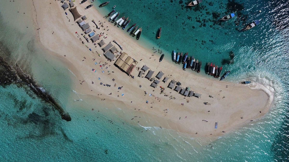 Picture 10 for Activity Zanzibar: Prison Island and Nakupenda Boat Trip with Lunch