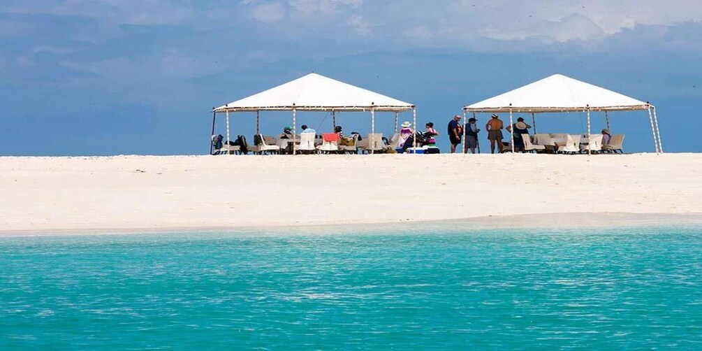 Picture 4 for Activity Zanzibar: Prison Island and Nakupenda Boat Trip with Lunch