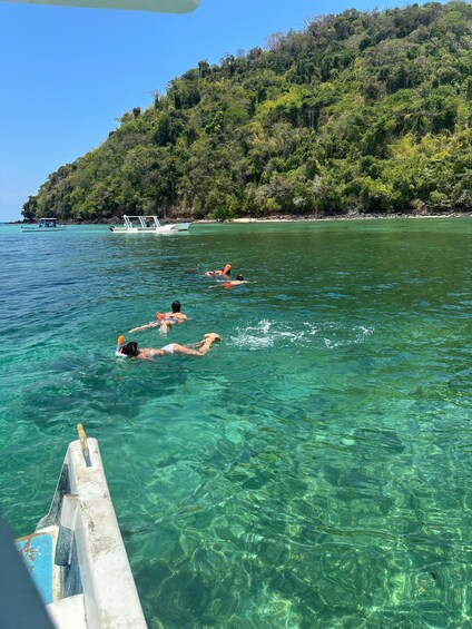 Picture 21 for Activity Guided tour to the islands of Nosy Komba and Nosy Tanikely