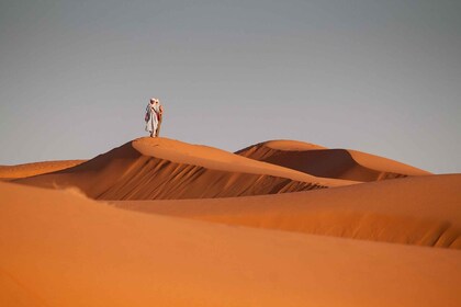 Desde Fez: Excursión de 2 días al desierto de Merzouga-Todo Incluido