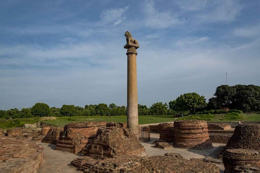 Picture 3 for Activity Day Trip to Sanchi and Udayagiri from Bhopal