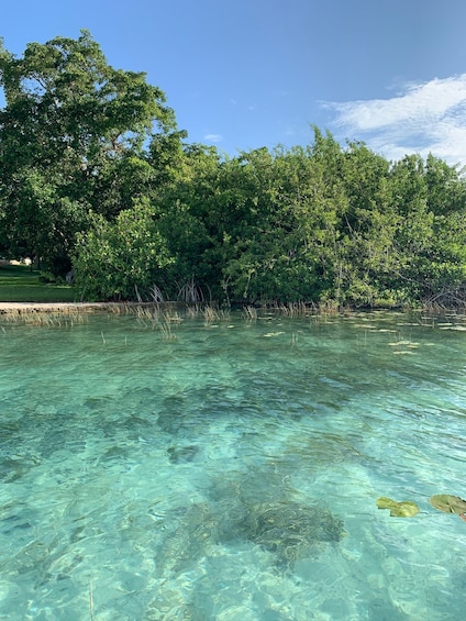 Picture 3 for Activity Sailboat tour in the seven colors lagoon of Bacalar