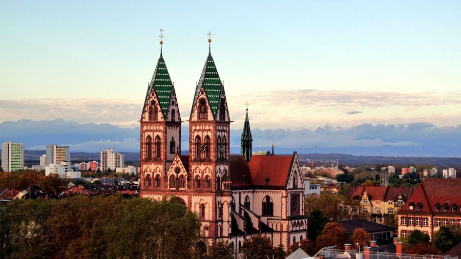 Picture 3 for Activity Freiburg: Private Guided Walking Tour