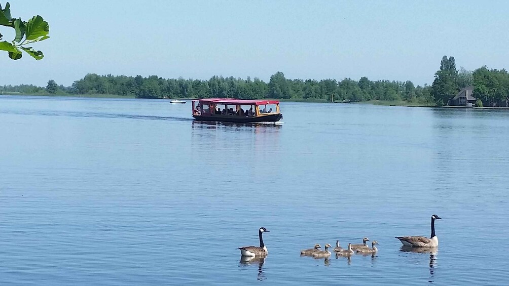 Picture 2 for Activity Giethoorn: Canals & Weerribben-Wieden Lake Guided Boat Tour