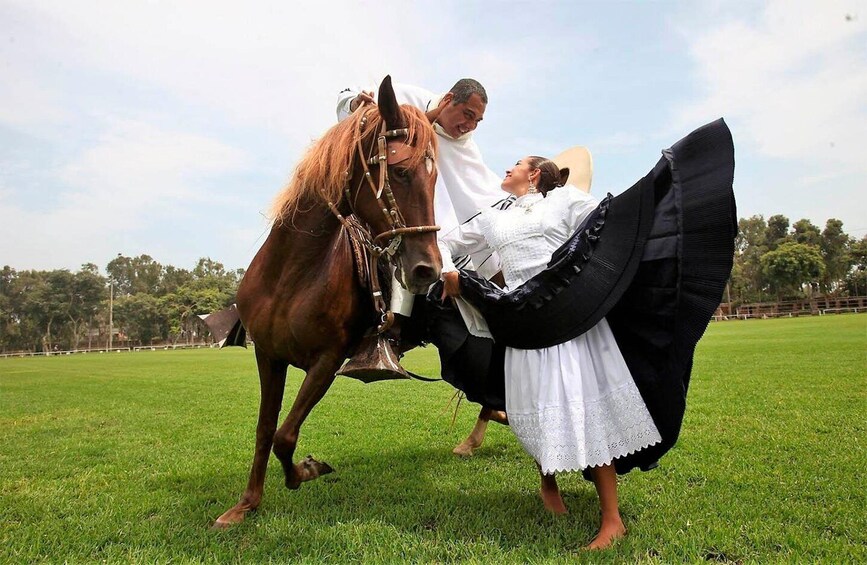 Picture 3 for Activity Lima: Buffet dinner, dance show | Peruvian Paso Horses |