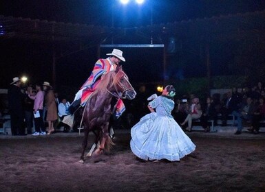 Lima: buffet-illallinen, tanssiesitys | Peruvian Paso Horses |