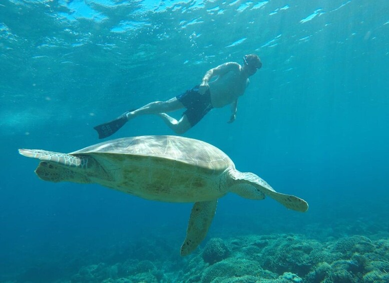 Picture 2 for Activity Sharing Snorkeling Starting Gili Air