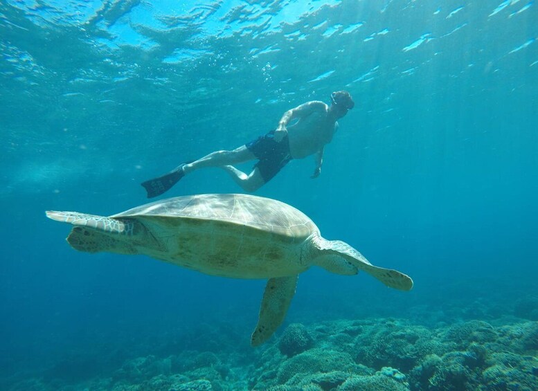 Picture 2 for Activity Sharing Snorkeling Starting Gili Air