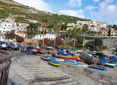 从丰沙尔出发：嘟嘟车之旅前往 Camara de Lobos 和 Cabo Girao