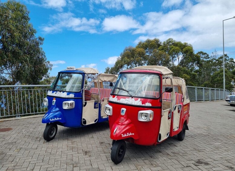 Picture 1 for Activity From Funchal: Tuk Tuk Tour to Camara de Lobos and Cabo Girao