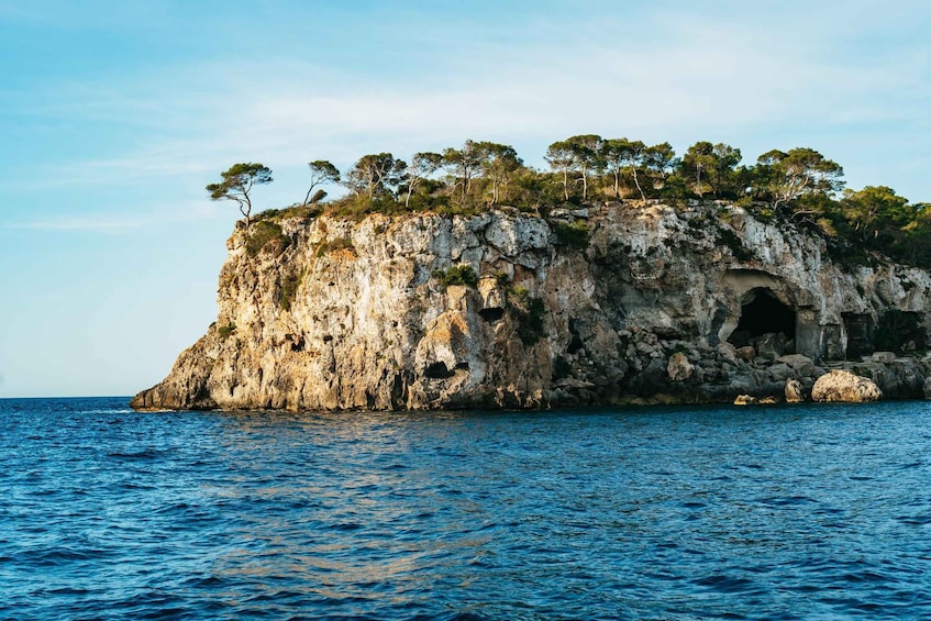 Picture 7 for Activity Mallorca: Midday or Sunset Sailing with Snacks and Open Bar