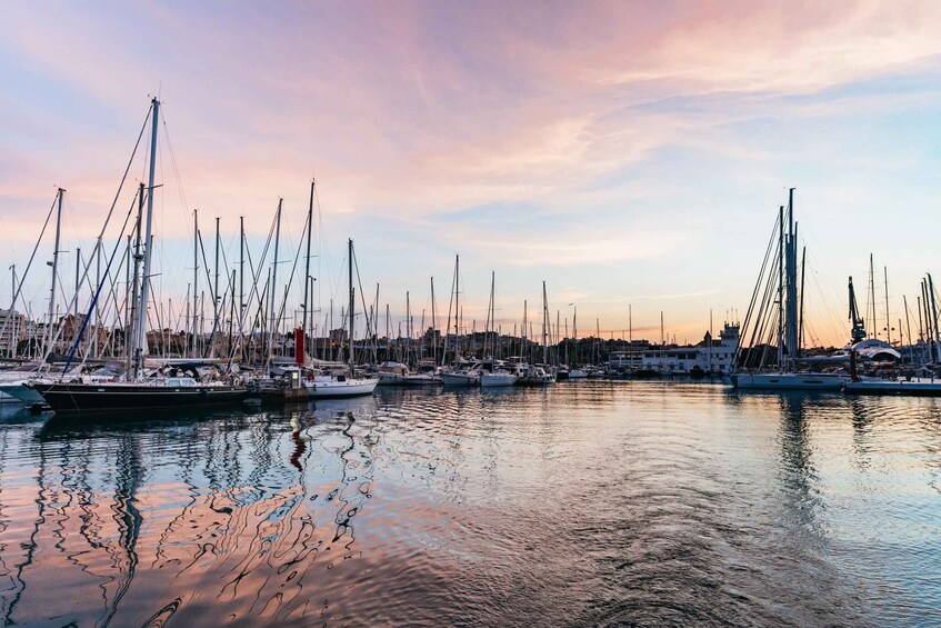 Picture 1 for Activity Mallorca: Midday or Sunset Sailing with Snacks and Open Bar