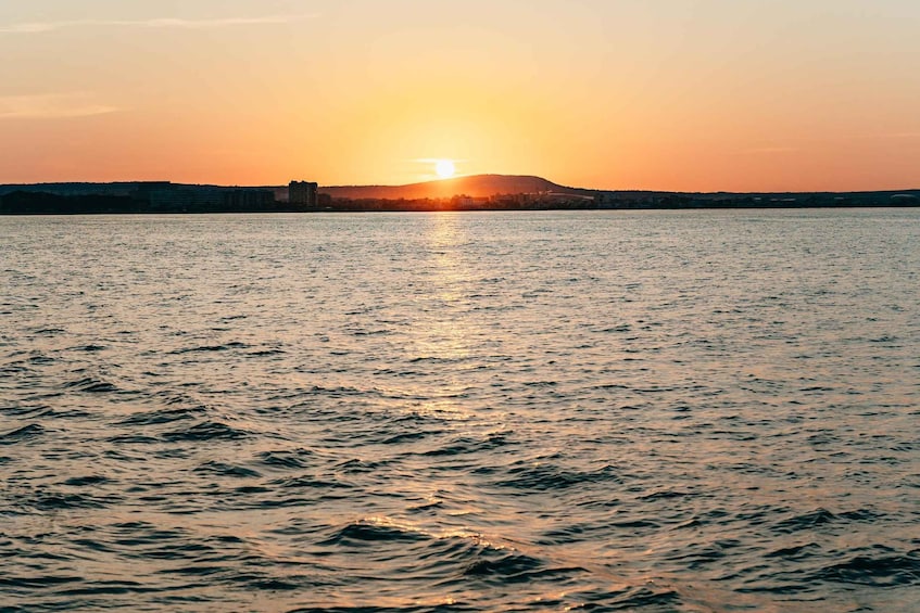 Picture 13 for Activity Mallorca: Midday or Sunset Sailing with Snacks and Open Bar