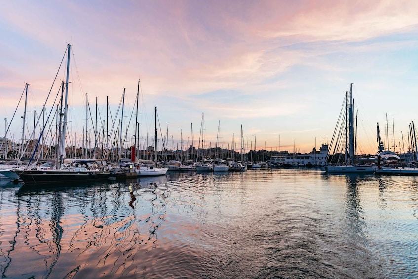 Picture 1 for Activity Mallorca: Midday or Sunset Sailing with Snacks and Open Bar