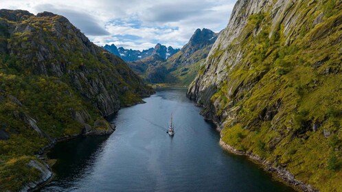 Lofoten Small Group Trollfjord Cruise on 33m Classic Yacht