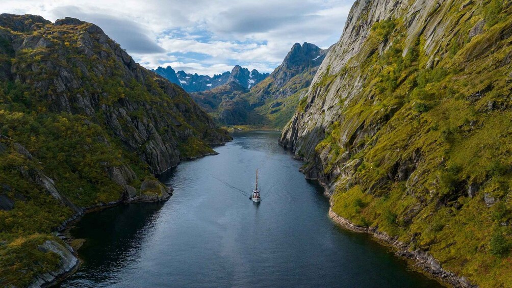 Lofoten Small Group Trollfjord Cruise on 33m Classic Yacht