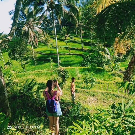 Picture 4 for Activity Lombok:Day Tour Selong Hill,Sendang Gile&Tiu Kelep Waterfall