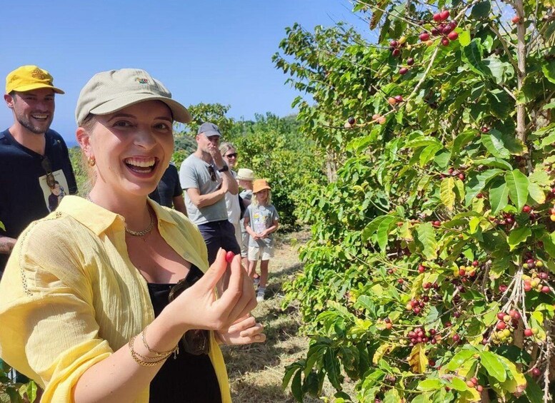 Picture 25 for Activity La Herradura Coffee Farm: tour in Europe's only plantation