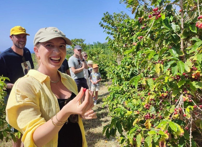 Picture 25 for Activity La Herradura Coffee Farm: tour in Europe's only plantation