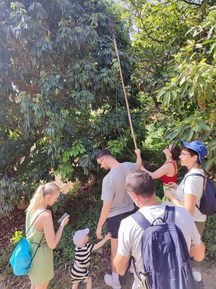 Picture 15 for Activity La Herradura Coffee Farm: tour in Europe's only plantation