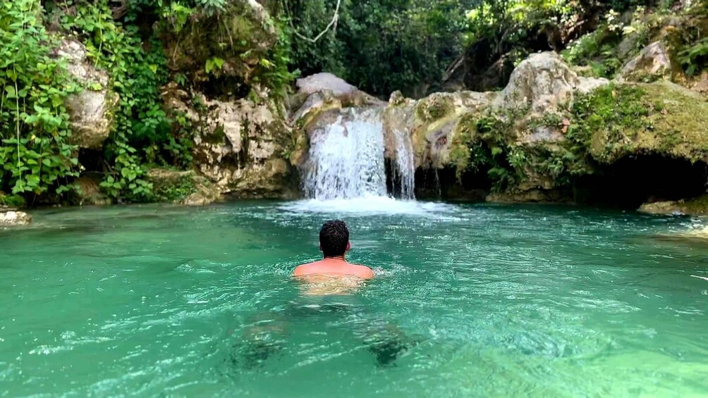 Picture 1 for Activity Cebu: Whale Shark Swimming & Inambakan Falls Adventure
